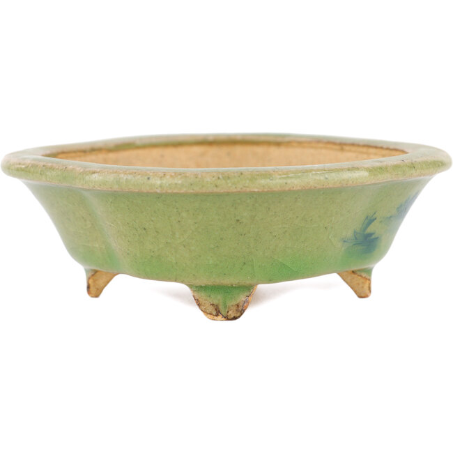 Maceta para bonsái Mokko verde de Hattori - 131 x 112 x 35 mm