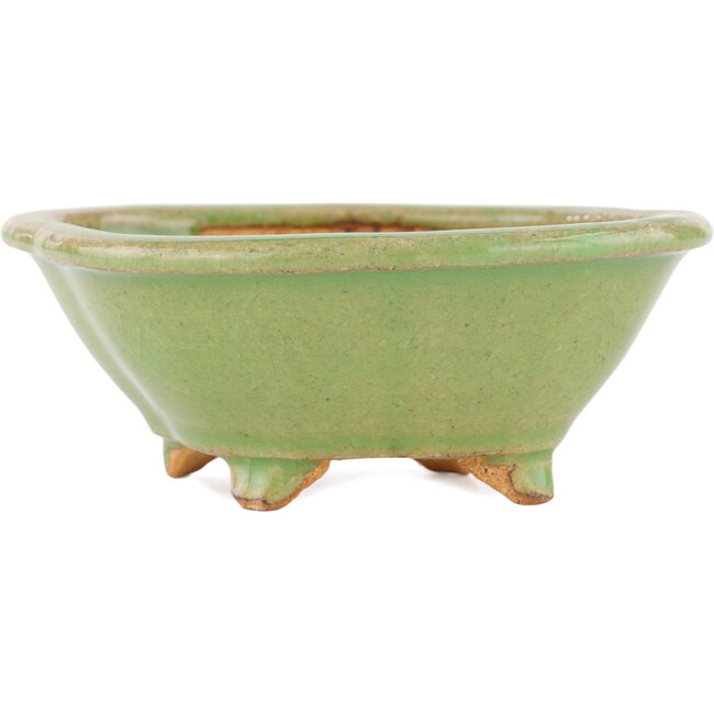 Maceta para bonsai Mokko verde de Hattori - 130 x 114 x 45 mm