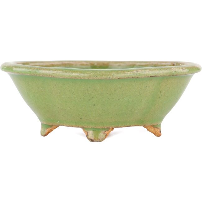 Mokko grüner Bonsaitopf von Hattori – 130 x 114 x 45 mm