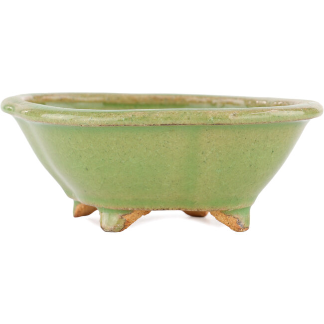 Mokko grüner Bonsaitopf von Hattori – 130 x 114 x 45 mm