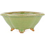 Mokko green bonsai pot by Hattori - 130 x 114 x 45 mm