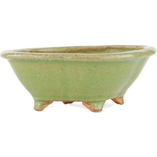 Mokko grüner Bonsaitopf von Hattori – 130 x 114 x 45 mm