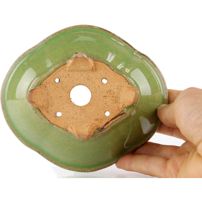 Vaso bonsai Mokko verde di Hattori - 130 x 114 x 45 mm