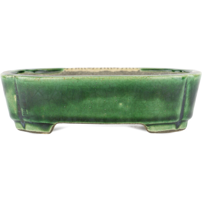 Rechteckiger grüner Bonsaitopf von Terahata Satomi Mazan – 162 x 120 x 42 mm