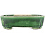 Rectangular green bonsai pot by Terahata Satomi Mazan - 162 x 120 x 42 mm