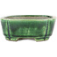 Rectangular green bonsai pot by Terahata Satomi Mazan - 162 x 120 x 42 mm