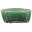 Rectangular green bonsai pot by Terahata Satomi Mazan - 162 x 120 x 42 mm