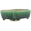 Rectangular green bonsai pot by Terahata Satomi Mazan - 162 x 120 x 42 mm