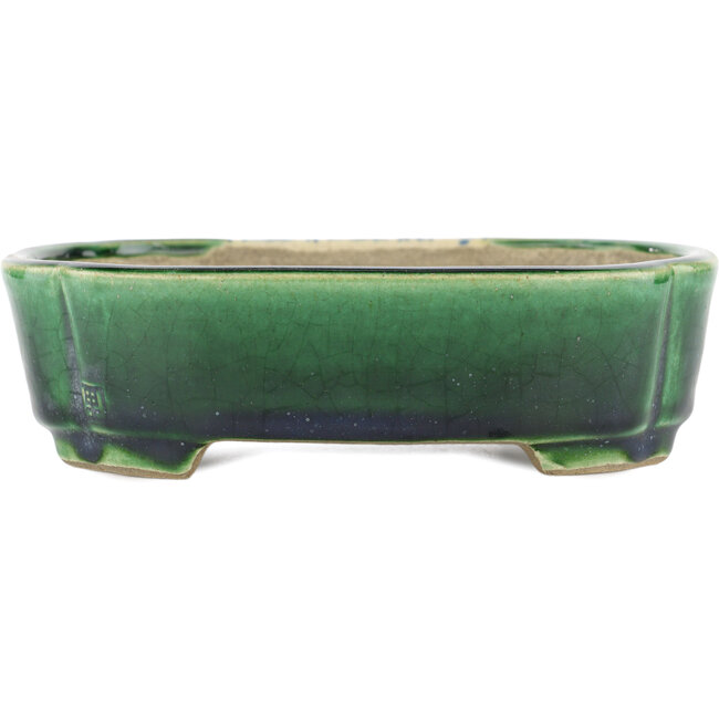 Rechteckiger grüner Bonsaitopf von Terahata Satomi Mazan – 162 x 120 x 42 mm