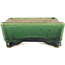 Pot à bonsaï rectangulaire vert par Terahata Satomi Mazan - 146 x 105 x 40 mm