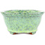 Pot à bonsaï ovale vert par Shuhou - 155 x 130 x 60 mm