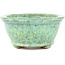 Pot à bonsaï ovale vert par Shuhou - 155 x 130 x 60 mm