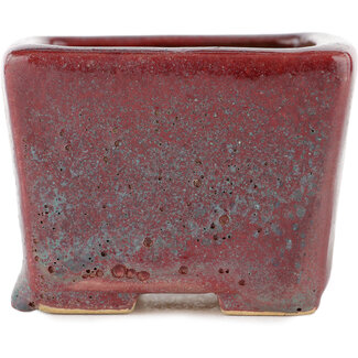  Other Japanese bonsai pot makers 77 mm  bordeaux pot from Japan