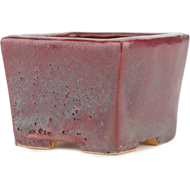 Pot à bonsaï carré bordeaux - 77 x 77 x 57 mm