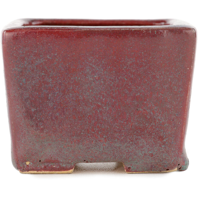 Vaso bonsai quadrato bordeaux - 77 x 77 x 57 mm