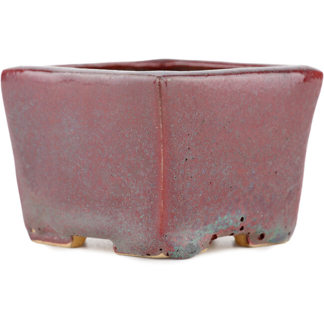 Vierkante bordeaux bonsaipot - 77 x 77 x 57 mm