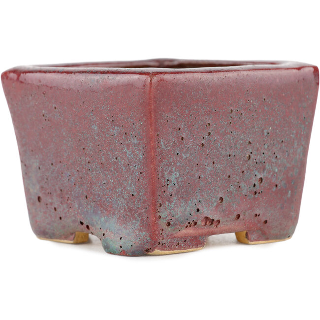 Pot à bonsaï carré bordeaux - 77 x 77 x 57 mm
