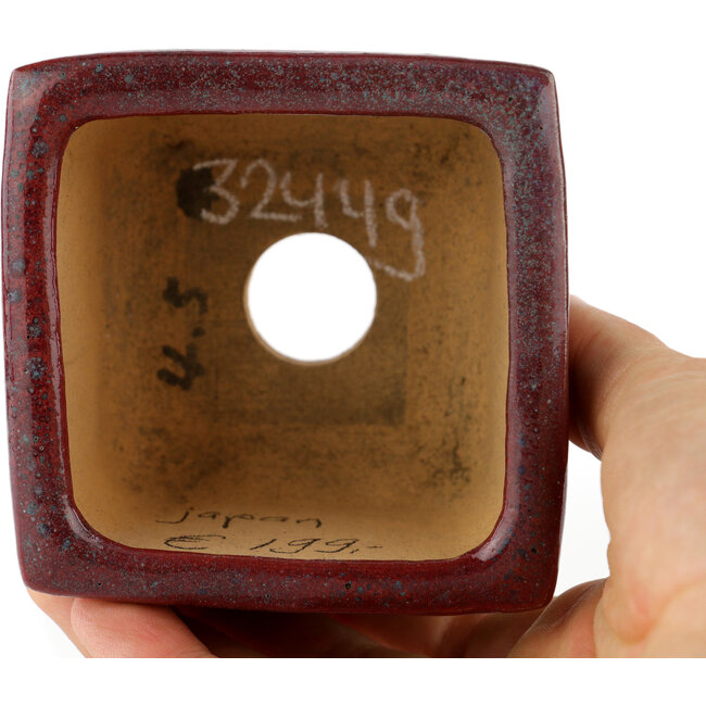 Square bordeaux bonsai pot - 77 x 77 x 57 mm