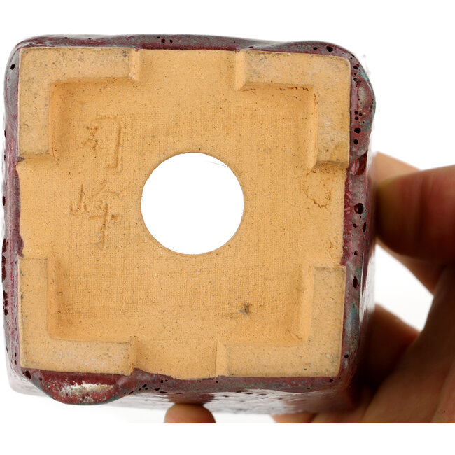 Vierkante bordeaux bonsaipot - 77 x 77 x 57 mm