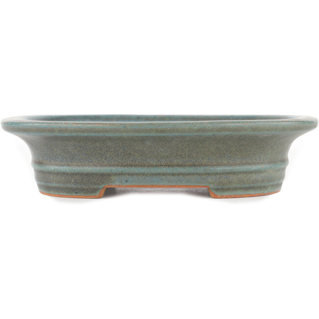 Oval green bonsai pot by Reiho - 173 x 148 x 38 mm