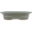 Oval green bonsai pot by Reiho - 173 x 148 x 38 mm