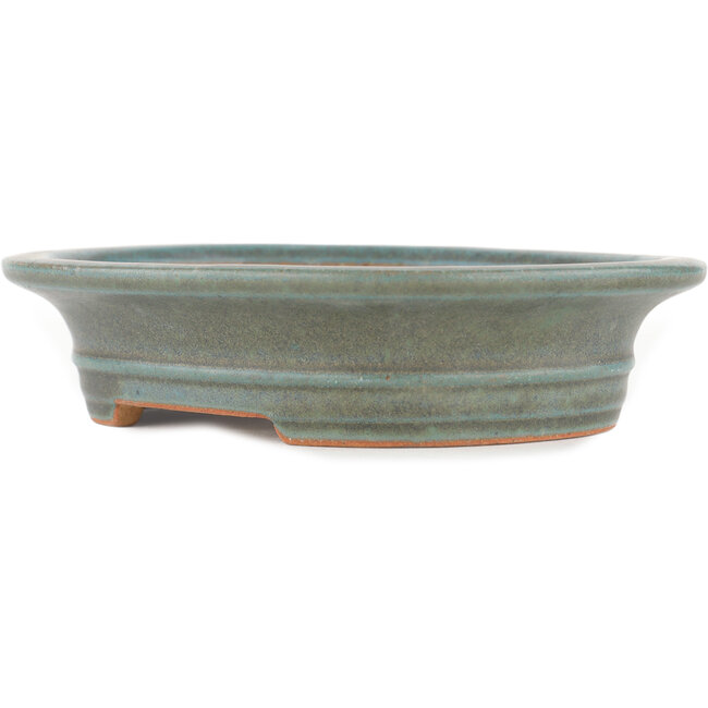 Vaso bonsai ovale verde di Reiho - 173 x 148 x 38 mm