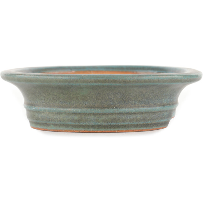 Pot à bonsaï ovale vert par Reiho - 173 x 148 x 38 mm