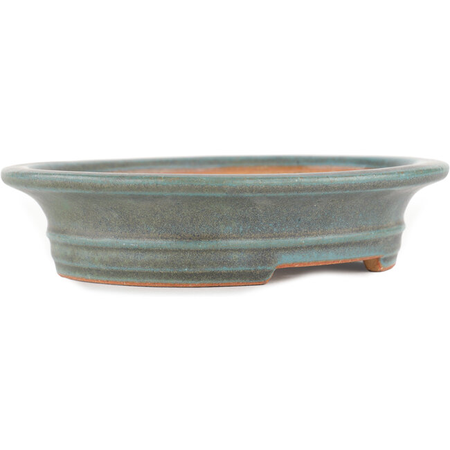 Maceta ovalada para bonsái verde de Reiho - 173 x 148 x 38 mm