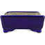 Rectangular blue bonsai pot by Terahata Satomi Mazan - 146 x 105 x 40 mm