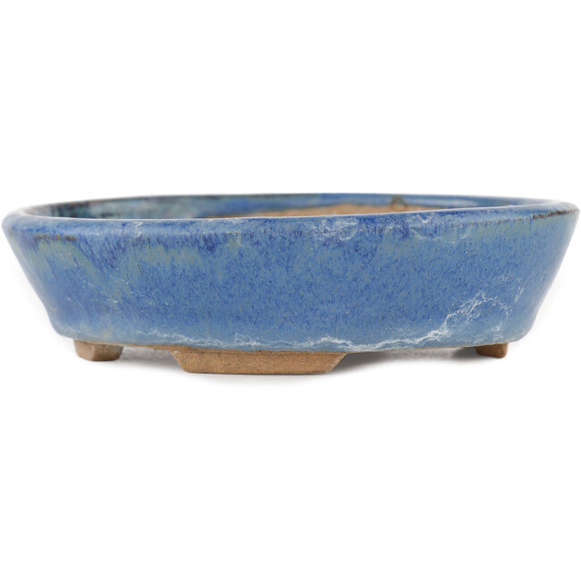 Vaso bonsai ovale blu - 148 x 134 x 35 mm