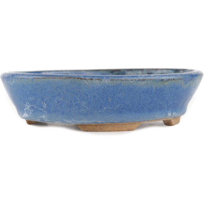 Vaso bonsai ovale blu - 148 x 134 x 35 mm