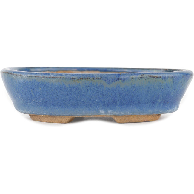 Ovaler blauer Bonsaitopf – 148 x 134 x 35 mm