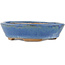 Oval blue bonsai pot - 148 x 134 x 35 mm