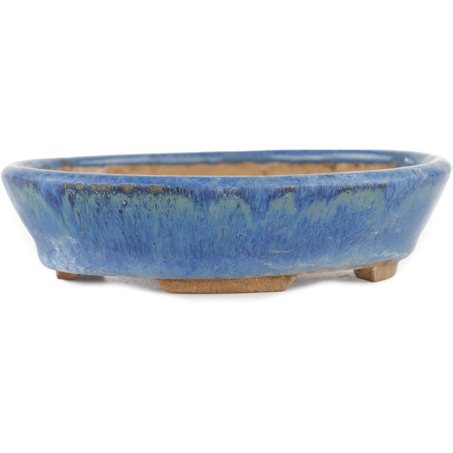 Ovaler blauer Bonsaitopf – 148 x 134 x 35 mm