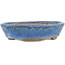 Pot à bonsaï ovale bleu - 148 x 134 x 35 mm