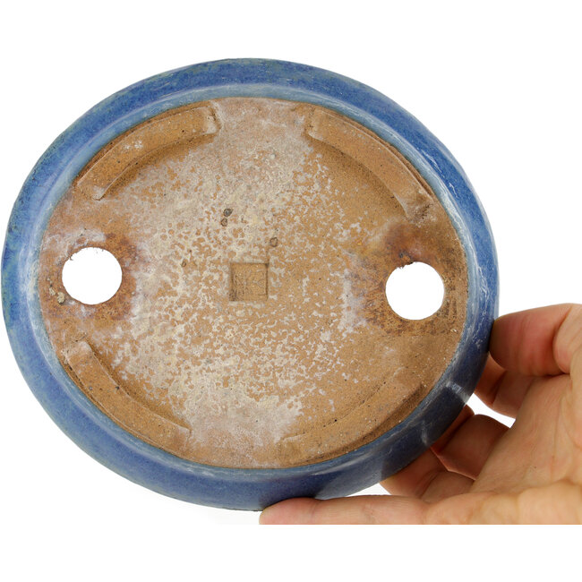 Maceta para bonsái ovalada azul - 148 x 134 x 35 mm