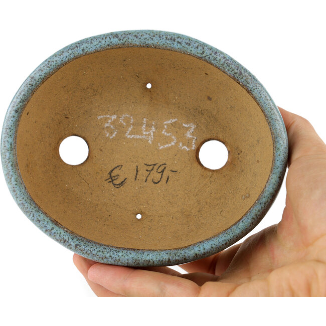 Maceta para bonsái ovalada azul - 125 x 113 x 42 mm