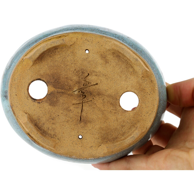 Pot à bonsaï ovale bleu - 125 x 113 x 42 mm