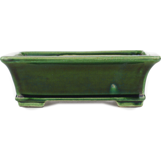 Maceta rectangular para bonsái verde de Terahata Satomi Mazan - 250 x 215 x 77 mm