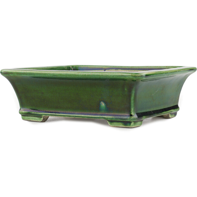 Rechteckiger grüner Bonsaitopf von Terahata Satomi Mazan – 250 x 215 x 77 mm