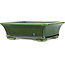 Maceta rectangular para bonsái verde de Terahata Satomi Mazan - 250 x 215 x 77 mm