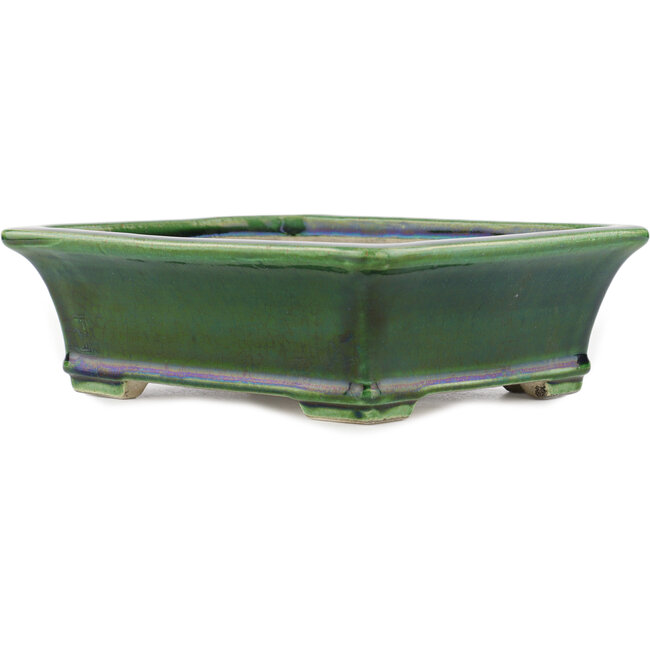 Vaso bonsai rettangolare verde di Terahata Satomi Mazan - 250 x 215 x 77 mm