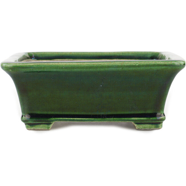 Maceta rectangular para bonsái verde de Terahata Satomi Mazan - 250 x 215 x 77 mm