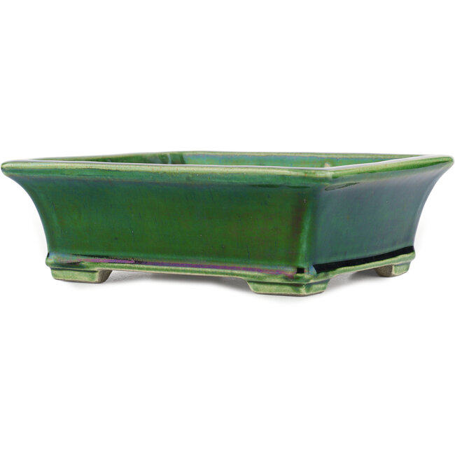 Pot à bonsaï rectangulaire vert par Terahata Satomi Mazan - 250 x 215 x 77 mm