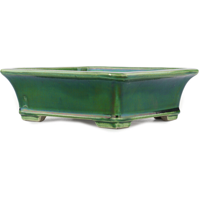 Rechteckiger grüner Bonsaitopf von Terahata Satomi Mazan – 250 x 215 x 77 mm