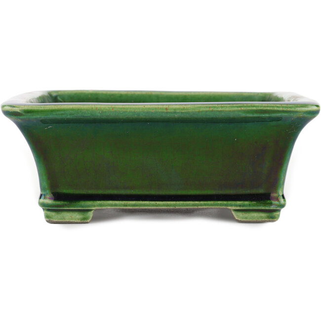 Rechteckiger grüner Bonsaitopf von Terahata Satomi Mazan – 250 x 215 x 77 mm