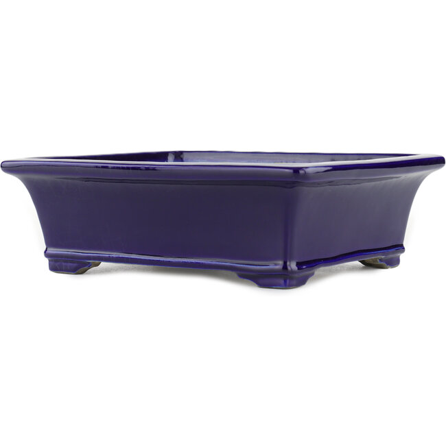 Maceta rectangular para bonsái azul de Terahata Satomi Mazan - 282 x 240 x 87 mm