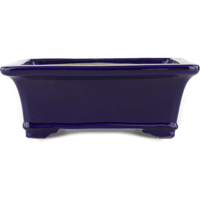 Maceta rectangular para bonsái azul de Terahata Satomi Mazan - 282 x 240 x 87 mm
