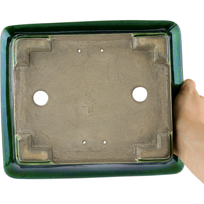 Maceta rectangular para bonsái verde de Terahata Satomi Mazan - 250 x 215 x 77 mm