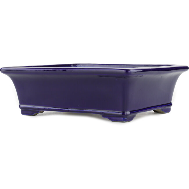Maceta rectangular para bonsái azul de Terahata Satomi Mazan - 282 x 240 x 87 mm